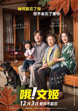日韩高清片