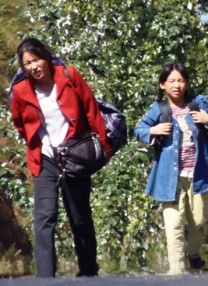 日本成人二区